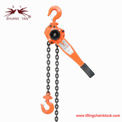 Ratchet Chain Hoist Handmatige hefboom 2000kg 2Ton G80 legeringsstaal keten Meer dan 4 keer breekkracht Nieuw type